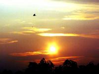 Sunrise in Keshav Puram