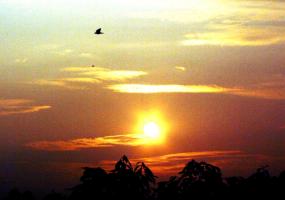 Sunrise in Keshav Puram