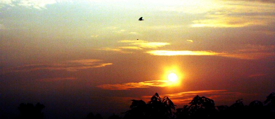 Sunrise in Keshav Puram