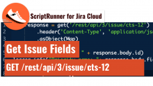 ScriptRunner for Jira - Get issue fields