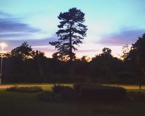 Burnham sunset